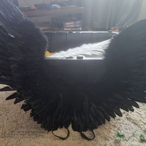 Black angel wings